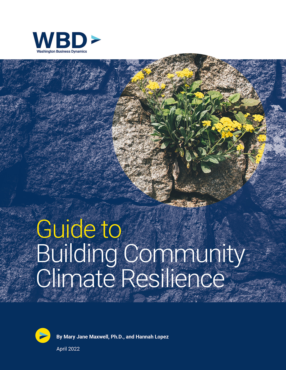 Guide To Building Community Climate Resilience | Washington Business ...